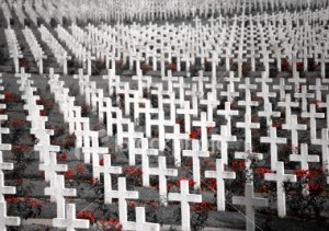 flanders_field