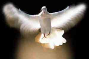 Holy-Spirit-is-the-representative-of-Jesus-and-his-living-presence-in-our-lives