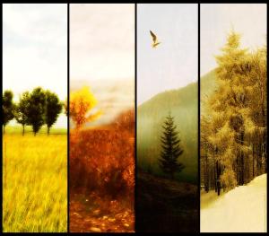 seasons_of_change_by_AutumnsGoddess