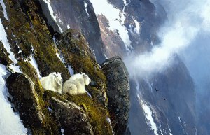 Rocky Mountain Goats—B.C. Michael Coleman (1989) National Museum of Wildlife Art Collection