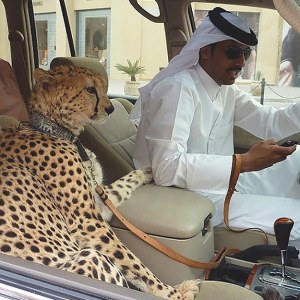 On the road in Dubai.