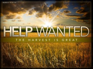 Help Wanted