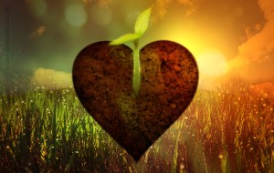soil-of-your-heart-by-sustainabletraditions