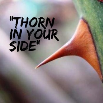 thorn in your side