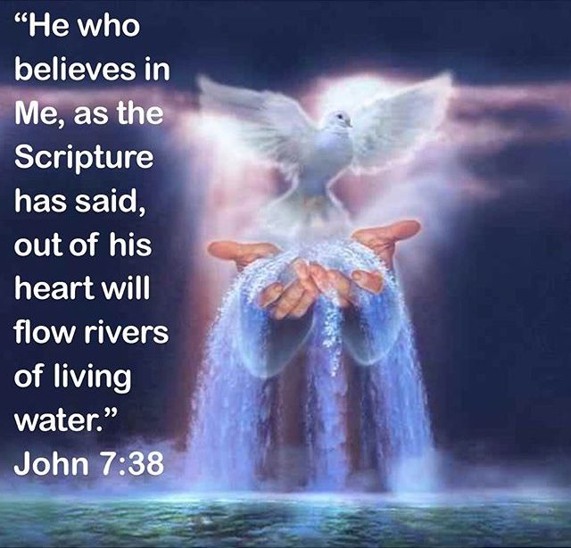 After Pentecost | Wednesday 27 May 2026: Psalm 104:24-34, 35b; Numbers ...