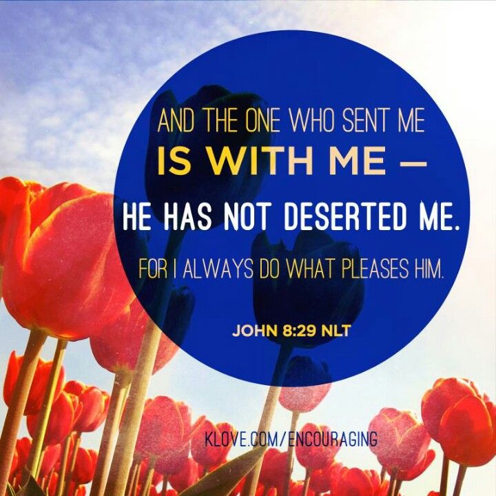 Easter | Saturday 16 May 2026: Psalm 93; 2 Kings 2:13-15; John 8:21-30 ...